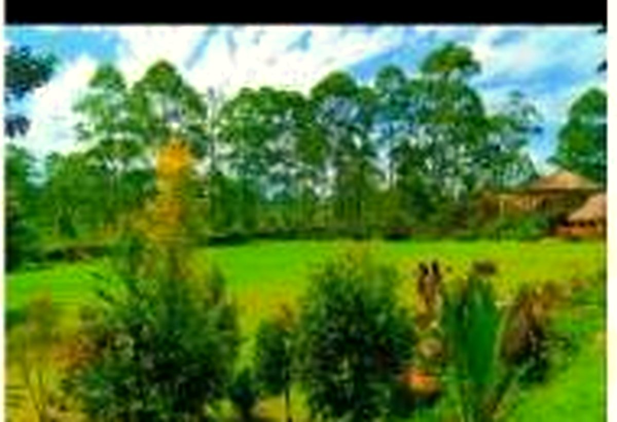 Parks & Crater Lakes