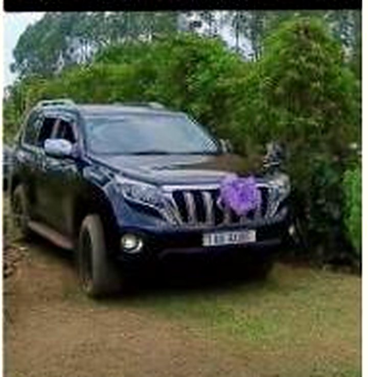 Travel & Transfers